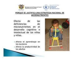 Estrategia Nacional para la Prevención y Control de las Deficiencias de Micronutrientes