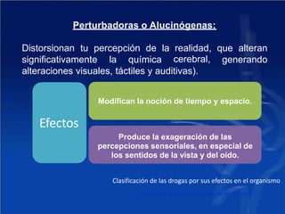 Perturbadoras o Alucinógenas:
Distorsionan tu percepción de la realidad,
cerebral,
que alteran
significativamente la química generando
alteraciones visuales, táctiles y auditivas).
Modifican la noción de tiempo y espacio.
Efectos
Produce la exageración de las
percepciones sensoriales, en especial de
los sentidos de la vista y del oído.
Clasificación de las drogas por sus efectos en el organismo
Universidad Autónoma del Estado de Hidalgo
 