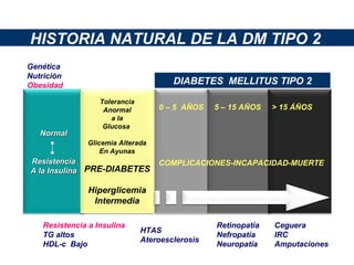 HISTORIA NATURAL DE LA DM TIPO 2 DIABETES  MELLITUS TIPO 2 0 – 5  AÑOS  5 – 15 AÑOS  > 15 ÁÑOS COMPLICACIONES-INCAPACIDAD-MUERTE Genética Nutrición Obesidad Resistencia a Insulina TG altos HDL-c  Bajo HTAS Ateroesclerosis Retinopatía Nefropatía Neuropatía Ceguera IRC Amputaciones Normal Resistencia A la Insulina Tolerancia Anormal a la  Glucosa  Glicemia Alterada En Ayunas PRE-DIABETES Hiperglicemia Intermedia 
