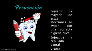 Prevención • Prevenir la
mayoría de
estas
afecciones se
evitan con
una correcta
higiene bucal
• Enjuague y
cepillado
dental
• Visitas
PREVENCIÓN DE ENFERMEDADES DENTALES
Diana Marcela Sánchez
 