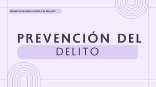 Estrategias Integrales para la Prevención del Delito y la Tortura en ...