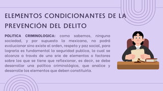Estrategias Integrales para la Prevención del Delito y la Tortura en ...