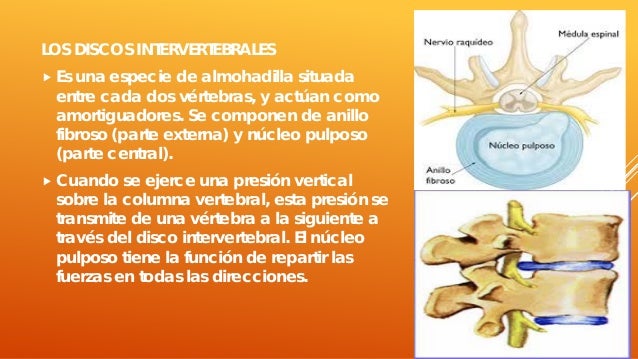 La gimnasia médica a la inestabilidad sheynogo del departamento de la columna vertebral