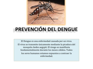 PREVENCIÓN DEL DENGUE
El Dengue es una enfermedad causada por un virus.
El virus se transmite únicamente mediante la picadura del
mosquito Aedes aegypti. El riesgo se manifiesta
fundamentalmente durante los meses cálidos. Todos
los seres humanos estamos expuestos a contraer la
enfermedad.
 