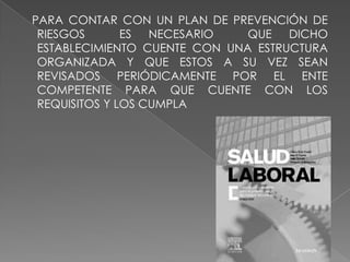    PARA CONTAR CON UN PLAN DE PREVENCIÓN DE RIESGOS  ES NECESARIO  QUE DICHO ESTABLECIMIENTO CUENTE CON UNA ESTRUCTURA ORGANIZADA Y QUE ESTOS A SU VEZ SEAN REVISADOS PERIÓDICAMENTE POR EL ENTE COMPETENTE PARA QUE CUENTE CON LOS REQUISITOS Y LOS CUMPLA  
