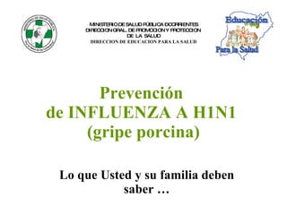 Prevención  de INFLUENZA A H1N1  (gripe porcina) Lo que Usted y su familia deben saber … MINISTERIO DE SALUD PÚBLICA – CORRIENTES DIRECCION GRAL. DE PROMOCION Y PROTECCION  DE  LA  SALUD DIRECCION DE EDUCACION PARA LA SALUD Educación Para la Salud 
