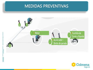 MEDIDAS PREVENTIVAS
 