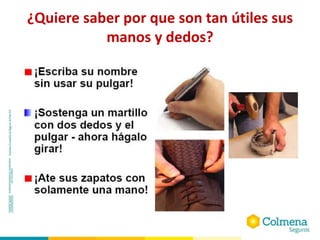 ¿Quiere saber por que son tan útiles sus
manos y dedos?
 
