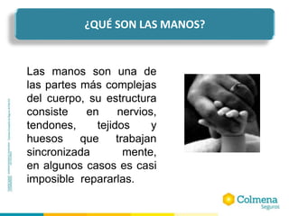 Las manos son una de
las partes más complejas
del cuerpo, su estructura
consiste en nervios,
tendones, tejidos y
huesos que trabajan
sincronizada mente,
en algunos casos es casi
imposible repararlas.
¿QUÉ SON LAS MANOS?
 