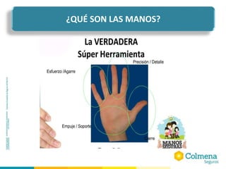 ¿QUÉ SON LAS MANOS?
 