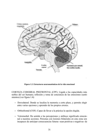 Cordón
                                espinal




            Figura 1.3. Estructuras neuroanatómicas de la vida emocional



CORTEZA CEREBRAL PREFRONTAL (CPF). Ligada a las capacidades más
nobles del ser humano; reflexión y toma de conciencia de las emociones (senti-
mientos) (ver figura 1.4):

  − Dorsolateral. Donde se localiza la memoria a corto plazo, y permite elegir
    entre varias opciones y aprender de los propios errores.

  − Orbitofrontal (COF). Capaz de llevar a la práctica la opción elegida.

  − Vetromedial. Da sentido a las percepciones y atribuye significado emocio-
    nal a nuestras acciones. Personas con lesiones bilaterales en esta zona son
    incapaces de anticipar consecuencias futuras -sean positivas o negativas- de


                                          31
 