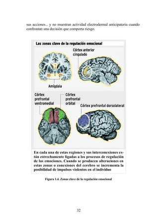 sus acciones... y no muestran actividad electrodermal anticipatoria cuando
confrontan una decisión que comporta riesgo.




    En cada una de estas regiones y sus interconexiones es-
    tán estrechamente ligadas a los procesos de regulación
    de las emociones. Cuando se producen alteraciones en
    estas zonas o conexiones del cerebro se incrementa la
    posibilidad de impulsos violentos en el individuo

            Figura 1.4. Zonas clave de la regulación emocional




                                   32
 