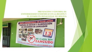 PREVENCIÓN Y CONTROL DE
ENFERMEDADES ENDÉMICAS EN LA REGIÓN Y
EL ESTADO PLURINACIONAL DE BOLIVIA
 