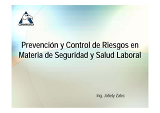 Prevención y Control de Riesgos en
Materia de Seguridad y Salud Laboral



                      Ing.
                      Ing Johely Zalec
 