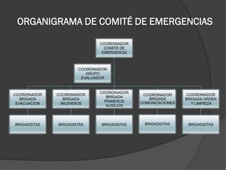 ORGANIGRAMA DE COMITÉ DE EMERGENCIAS
COORDINADOR
COMITÉ DE
EMERGENCIA
COORDINADOR
BRIGADA
EVACUACION
BRIGADISTAS
COORDINADOR
BRIGADA
INCENDIOS
BRIGADISTAS
COORDINADOR
BRIGADA
PRIMEROS
AUXILIOS
BRIGADISTAS
COORDINADOR
BRIGADA
COMUNICACIONES
COORDINADOR
BRIGADA ORDEN
Y LIMPIEZA
BRIGADISTAS
COORDINADOR
GRUPO
EVALUADOR
BRIGADISTAS
 