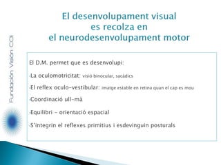 El D.M. permet que es desenvolupi:
•La oculomotricitat: visió binocular, sacàdics
•El reflex oculo-vestibular: imatge estable en retina quan el cap es mou
•Coordinació ull-mà
•Equilibri - orientació espacial
•S’integrin el reflexes primitius i esdevinguin posturals
 