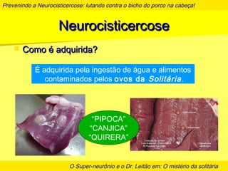 Prevenindo a Neurocisticercose: lutando contra o bicho do porco na cabeça!
O Super-neurônio e o Dr. Leitão em: O mistério da solitária
NeurocisticercoseNeurocisticercose
 Como é adquirida?Como é adquirida?
É adquirida pela ingestão de água e alimentos
contaminados pelos ovos da Solitária.
“PIPOCA”
“CANJICA”
“QUIRERA”
 