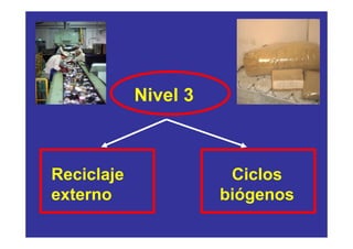 Nivel 3



Reciclaje              Ciclos
externo               biógenos
 