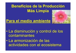 Beneficios de la Producción
           Más Limpia

Para el medio ambiente

• La disminución y control de los
  contaminantes
• La armonización de las
  actividades con el ecosistema
 
