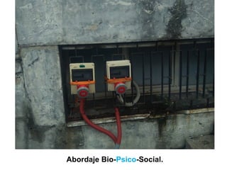 Abordaje Bio-Psico-Social.
 