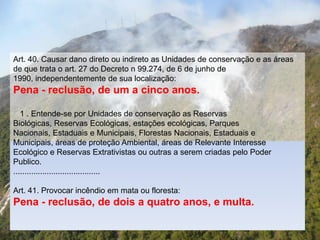 Art. 40. Causar dano direto ou indireto as Unidades de conservação e as áreas
de que trata o art. 27 do Decreto n 99.274, de 6 de junho de
1990, independentemente de sua localização:
Pena - reclusão, de um a cinco anos.

   1 . Entende-se por Unidades de conservação as Reservas
Biológicas, Reservas Ecológicas, estações ecológicas, Parques
Nacionais, Estaduais e Municipais, Florestas Nacionais, Estaduais e
Municipais, áreas de proteção Ambiental, áreas de Relevante Interesse
Ecológico e Reservas Extrativistas ou outras a serem criadas pelo Poder
Publico.
.......................................

Art. 41. Provocar incêndio em mata ou floresta:
Pena - reclusão, de dois a quatro anos, e multa.
 