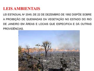 LEIS AMBIENTAIS
LEI ESTADUAL No 2049, DE 22 DE DEZEMBRO DE 1992 DISPÕE SOBRE
A PROIBIÇÃO DE QUEIMADAS DA VEGETAÇÃO NO ESTADO DO RIO
DE JANEIRO EM ÁREAS E LOCAIS QUE ESPECIFICA E DÁ OUTRAS
PROVIDÊNCIAS.
 