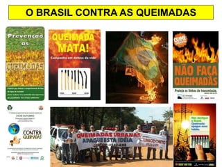 O BRASIL CONTRA AS QUEIMADAS
 