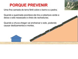 PORQUE PREVENIR
Uma fina camada de terra fértil cobre o barro e a pedra;

Quando a queimada acontece ela tira a cobertura verde e
deixa o solo ressecado e cheio de rachaduras;

Quando a chuva chegar vai encharcar o solo, podendo
causar deslizamentos e mortes.
 