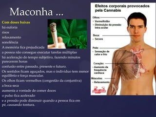 Maconha ...
Com doses baixas
há euforia
risos
relaxamento
sonolência
A memória fica prejudicada
a pessoa não consegue executar tarefas múltiplas
há aceleração do tempo subjetivo, fazendo minutos
parecerem horas
confusão entre passado, presente e futuro.
Os sentidos ficam aguçados, mas o indivíduo tem menor
equilíbrio e força muscular.
Os olhos ficam vermelhos (congestão da conjuntiva)
a boca seca
aumenta a vontade de comer doces
o pulso fica acelerado
e a pressão pode diminuir quando a pessoa fica em
pé, causando tontura.
 