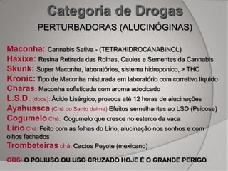 Categoria de Drogas
          PERTURBADORAS (ALUCINÓGINAS)

Maconha: Cannabis Sativa - (TETRAHIDROCANABINOL)
Haxixe: Resina Retirada das Rolhas, Caules e Sementes da Cannabis
Skunk: Super Maconha, laboratórios, sistema hidroponico, > THC
Kronic: Tipo de Maconha misturada em laboratório com corretivo líquido
Charas: Maconha sofisticada com aroma adocicado
L.S.D. (doce): Ácido Lisérgico, provoca até 12 horas de alucinações
Ayahuasca (Chá do Santo daime) Efeitos semelhantes ao LSD (Psicose)
Cogumelo Chá: Cogumelo que cresce no esterco da vaca
Lírio Chá: Feito com as folhas do Lírio, alucinação nos sonhos e com
olhos fechados
Trombeteiras chá: Cactos Peyote (mexicano)
OBS: O POLIUSO OU USO CRUZADO HOJE É O GRANDE PERIGO
 
