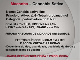 Maconha – Cannabis Sativa
Nome: Canabis sativa liné
Princípio Ativo: -9=Tetrahidrocanabinol
Categoria: perturbadora do S.N.C.
COMUM = 3% T.H.C, SINSEMILA = 7,5%,
HAXIXE = de 3,6 – 28%, SKANK = até 35%.

FUMADA NA FORMA DE CIGARROS ARTESANAIS.

       EFEITOS CLÍNICOS: INICIAM EM 5 MIN.
            E PODEM CHEGAR A 2 HORAS.
(Dependem do tipo, quantidade, qualidade da droga e
da sensibilidade do usuário).

- CAUSA DEPENDÊNCIA FÍSICA E PSICOLÓGICA.
 
