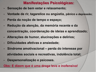 Manifestações Psicológicas:
- Sensação de bem estar e relaxamento;
- Vontade de rir, tagarelice ou angústia, pânico e depressão;
- Perda da noção de tempo e espaço;
- Redução da atenção, da memória recente e da
  concentração, coordenação de ideias e aprendizado;
- Alterações de humor, alucinações e delírios;
- Dificuldades afetivas e ansiedade;
- Síndrome amotivacional – perda do interesse por
  atividades sociais e recreativas, indolência total;
- Despersonalização e psicoses.
Obs: E dizem que é uma droga leve e inofensiva!
 