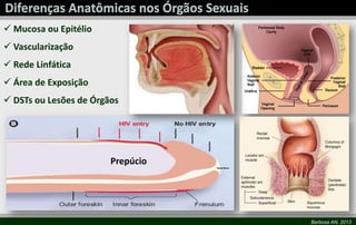 Barbosa AN, 2013
 Mucosa ou Epitélio
 Vascularização
 Rede Linfática
 Área de Exposição
 DSTs ou Lesões de Órgãos
Prepúcio
 