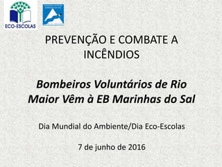 PREVENÇÃO E COMBATE A
INCÊNDIOS
Bombeiros Voluntários de Rio
Maior Vêm à EB Marinhas do Sal
Dia Mundial do Ambiente/Dia Eco-Escolas
7 de junho de 2016
 
