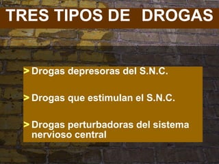 TRES TIPOS DE DROGAS


 > Drogas depresoras del S.N.C.

 > Drogas que estimulan el S.N.C.

 > Drogas perturbadoras del sistema
   nervioso central
 