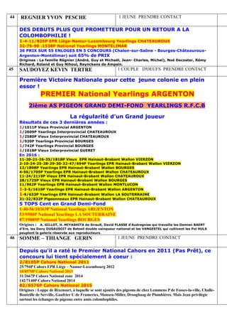 44 REGNIER YVON PESCHE 1 JEUNE PRENDRE CONTACT
DES DEBUTS PLUS QUE PROMETTEUR POUR UN RETOUR A LA
COLOMBOPHILIE !
1-4-11/825P EPR Liège-Namur-Luxembourg Yearlings CHATEAUROUX
32-76-90 :1538P National Yearlings MONTELIMAR
36 PRIX SUR 55 ENLOGES EN 5 CONCOURS (Chalon-sur-Saône - Bourges-Châteauroux-
Argenton-Montélimar) soit 65% de PRIX
Origines : La famille Régnier (André, Guy et Michaël, Jean- Charles, Michel), Noé Decoster, Rémy
Richard, Roland et Guy Nihoul, Reynckens de Ampsin.
45 SAUDOYEZ KEVIN TERTRE 1 COUPLE D'OEUFS PRENDRE CONTACT
Première Victoire Nationale pour cette jeune colonie en plein
essor !
PREMIER National Yearlings ARGENTON
2ième AS PIGEON GRAND DEMI-FOND YEARLINGS R.F.C.B
La régularité d’un Grand joueur
Résultats de ces 3 dernières années :
1/1011P Vieux Provincial ARGENTON
1/2609P Yearlings Interprovincial CHATEAUROUX
1/2580P Vieux Interprovincial CHATEAUROUX
1/920P Yearlings Provincial BOURGES
1/742P Yearlings Provincial BOURGES
1/1018P Vieux Interprovincial GUERET
En 2016 :
11-20-21-26-35/1818P Vieux EPR Hainaut-Brabant Wallon VIERZON
2-10-24-25-28-29-30-32-47/694P Yearlings EPR Hainaut-Brabant Wallon VIERZON
12/1898P Yearlings EPR Hainaut-Brabant Wallon BOURGES
4-56/1705P Yearlings EPR Hainaut-Brabant Wallon CHATEAUROUX
11-24/2119P Vieux EPR Hainaut-Brabant Wallon CHATEAUROUX
28/1725P Vieux EPR Hainaut-Brabant Wallon BOURGES
11/962P Yearlings EPR Hainaut-Brabant Wallon MONTLUCON
1-3-5/1610P Yearlings EPR Hainaut-Brabant Wallon ARGENTON
1-9/633P Yearlings EPR Hainaut-Brabant Wallon LA SOUTERRAINE
31-32/832P Pigeonneaux EPR Hainaut-Brabant Wallon CHATEAUROUX
5 TOPS Cent en Grand Demi-Fond
1-40-56/18363P National Yearlings ARGENTON
53/9580P National Yearlings LA SOUTERRAINE
87/19889P National Yearlings BOURGES
Origines : A. GILLOT, H. MIYASHITA de Sirault, David FLASSE d'Audregnies qui travaille les Damien BAERT
d'Ere, les Dany DUSAUSOIT de Beloeil double vainqueur national et les VANGESTEL qui cultivent les Pol HULS
peuplent la galerie réservée aux reproducteurs.
46 SOMME – THIANGE GERIN 1 JEUNE PRENDRE CONTACT
Depuis qu'il a raté le Premier National Cahors en 2011 (Pas Prêt), ce
concours lui tient spécialement à coeur :
2/8105P Cahors National 2011
25/794P Cahors EPR Liège – Namur-Luxembourg 2012
18/8570P Cahors National 2013
31/2667P Cahors National zone 2014
142/7140P Cahors National 2014
82/6576P Cahors National 2015
Origines : Loppe de Rixensart, à laquelle se sont ajoutés des pigeons de chez Lemmens P de Fosses-la-ville, Challe-
Bouteille de Serville, Gaufrier U de Frameries, Monseu-Miller, Drooghaag de Plombières. Mais Jean privilégie
surtout les échanges de pigeons entre amis colombophiles.
 