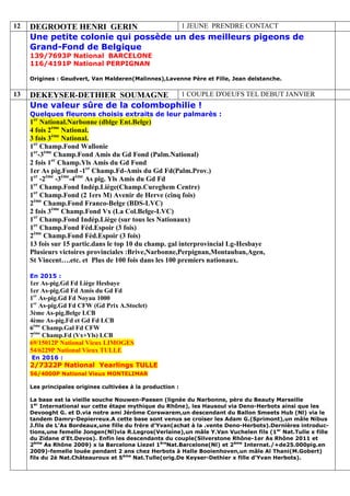 12 DEGROOTE HENRI GERIN 1 JEUNE PRENDRE CONTACT
Une petite colonie qui possède un des meilleurs pigeons de
Grand-Fond de Belgique
139/7693P National BARCELONE
116/4191P National PERPIGNAN
Origines : Geudvert, Van Malderen(Malinnes),Lavenne Père et Fille, Jean delstanche.
13 DEKEYSER-DETHIER SOUMAGNE 1 COUPLE D'OEUFS TEL DEBUT JANVIER
Une valeur sûre de la colombophilie !
Quelques fleurons choisis extraits de leur palmarès :
1er
National.Narbonne (dblge Ent.Belge)
4 fois 2ème
National.
3 fois 3ème
National.
1er
Champ.Fond Wallonie
1er
-3ème
Champ.Fond Amis du Gd Fond (Palm.National)
2 fois 1er
Champ.Yls Amis du Gd Fond
1er As pig.Fond -1er
Champ.Fd-Amis du Gd Fd(Palm.Prov.)
1er
-2ème
-3ème
-4ème
As pig. Yls Amis du Gd Fd
1er
Champ.Fond Indép.Liège(Champ.Cureghem Centre)
1er
Champ.Fond (2 1ers M) Avenir de Herve (cinq fois)
2ème
Champ.Fond Franco-Belge (BDS-LVC)
2 fois 3ème
Champ.Fond Vx (La Col.Belge-LVC)
1er
Champ.Fond Indép.Liège (sur tous les Nationaux)
1er
Champ.Fond Féd.Espoir (3 fois)
2ème
Champ.Fond Féd.Espoir (3 fois)
13 fois sur 15 partic.dans le top 10 du champ. gal interprovincial Lg-Hesbaye
Plusieurs victoires provinciales :Brive,Narbonne,Perpignan,Montauban,Agen,
St Vincent….etc. et Plus de 100 fois dans les 100 premiers nationaux.
En 2015 :
1er As-pig.Gd Fd Liège Hesbaye
1er As-pig.Gd Fd Amis du Gd Fd
1er
As-pig.Gd Fd Noyau 1000
1er
As-pig.Gd Fd CFW (Gd Prix A.Stoclet)
3ème As-pig.Belge LCB
4ème As-pig.Fd et Gd Fd LCB
6ème
Champ.Gal Fd CFW
7ème
Champ.Fd (Vx+Yls) LCB
69/15012P National Vieux LIMOGES
54/6229P National Vieux TULLE
En 2016 :
2/7322P National Yearlings TULLE
56/4000P National Vieux MONTELIMAR
Les principales origines cultivées à la production :
La base est la vieille souche Nouwen-Paesen (lignée du Narbonne, père du Beauty Marseille
1er
International sur cette étape mythique du Rhône), les Hausoul via Deno-Herbots ainsi que les
Devooght G. et D.via notre ami Jérôme Corswarem,un descendant du Ballon Smeets Hub (Nl) via le
tandem Damry-Depierreux.A cette base sont venus se croiser les Adam G.(Sprimont),un mâle Nibus
J.fils de L’As Bordeaux,une fille du frère d’Yvan(achat à la .vente Deno-Herbots).Dernières introduc-
tions,une femelle Jongen(Nl)via R.Legros(Verlaine),un mâle Y.Van Vuchelen fils (1er
Nat.Tulle x fille
du Zidane d’Et.Devos). Enfin les descendants du couple(Silverstone Rhône-1er As Rhône 2011 et
2ème
As Rhône 2009) x la Barcelona Liezel 1ère
Nat.Barcelone(Nl) et 2ème
Internat./+de25.000pig.en
2009)-femelle louée pendant 2 ans chez Herbots à Halle Booienhoven,un mâle Al Thani(M.Gobert)
fils du 2è Nat.Châteauroux et 5ème
Nat.Tulle(orig.De Keyser-Dethier x fille d’Yvan Herbots).
 