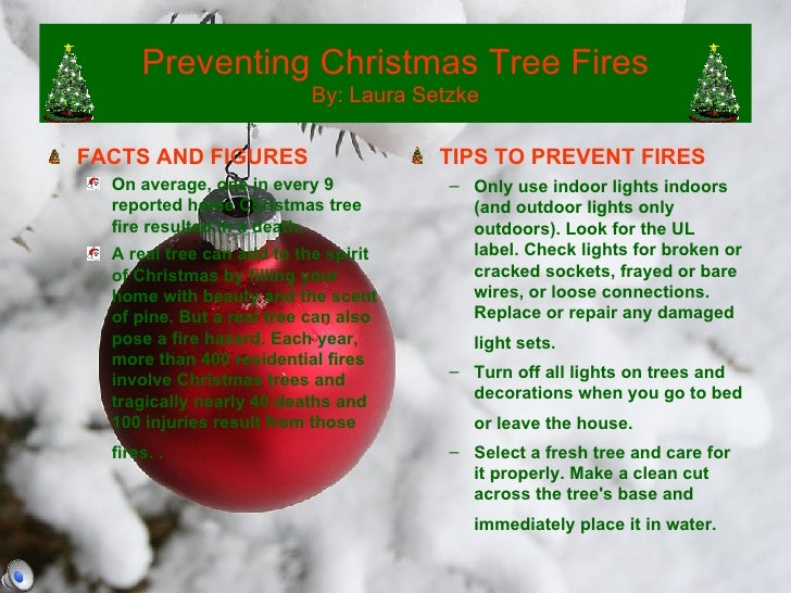 Preventing Christmas Tree Fires