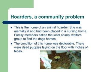 Hoarders, a community problem
 This is the home of an animal hoarder. She was
mentally ill and had been placed in a nursing home.
Family members asked the local animal welfare
group to find the dogs homes.
 The condition of this home was deplorable. There
were dead puppies laying on the floor with inches of
feces.
 