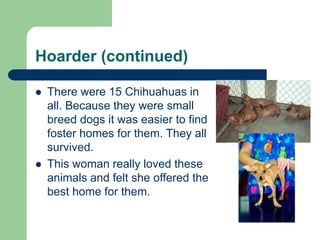Hoarder (continued)
 There were 15 Chihuahuas in
all. Because they were small
breed dogs it was easier to find
foster homes for them. They all
survived.
 This woman really loved these
animals and felt she offered the
best home for them.
 