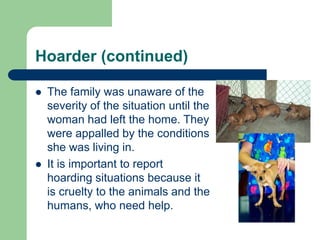 Hoarder (continued)
 The family was unaware of the
severity of the situation until the
woman had left the home. They
were appalled by the conditions
she was living in.
 It is important to report
hoarding situations because it
is cruelty to the animals and the
humans, who need help.
 