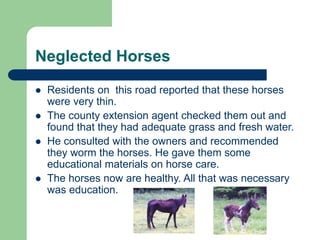 Neglected Horses
 Residents on this road reported that these horses
were very thin.
 The county extension agent checked them out and
found that they had adequate grass and fresh water.
 He consulted with the owners and recommended
they worm the horses. He gave them some
educational materials on horse care.
 The horses now are healthy. All that was necessary
was education.
 
