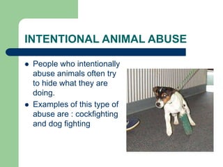 INTENTIONAL ANIMAL ABUSE
 People who intentionally
abuse animals often try
to hide what they are
doing.
 Examples of this type of
abuse are : cockfighting
and dog fighting
 
