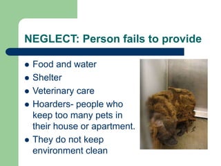 NEGLECT: Person fails to provide
 Food and water
 Shelter
 Veterinary care
 Hoarders- people who
keep too many pets in
their house or apartment.
 They do not keep
environment clean
 