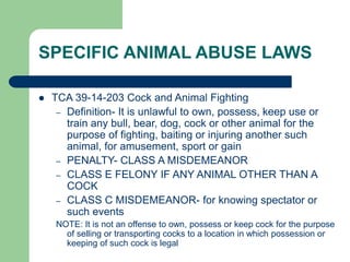SPECIFIC ANIMAL ABUSE LAWS
 TCA 39-14-203 Cock and Animal Fighting
– Definition- It is unlawful to own, possess, keep use or
train any bull, bear, dog, cock or other animal for the
purpose of fighting, baiting or injuring another such
animal, for amusement, sport or gain
– PENALTY- CLASS A MISDEMEANOR
– CLASS E FELONY IF ANY ANIMAL OTHER THAN A
COCK
– CLASS C MISDEMEANOR- for knowing spectator or
such events
NOTE: It is not an offense to own, possess or keep cock for the purpose
of selling or transporting cocks to a location in which possession or
keeping of such cock is legal
 