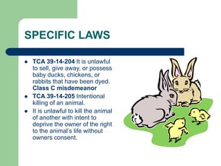 SPECIFIC LAWS
 TCA 39-14-204 It is unlawful
to sell, give away, or possess
baby ducks, chickens, or
rabbits that have been dyed.
Class C misdemeanor
 TCA 39-14-205 Intentional
killing of an animal.
 It is unlawful to kill the animal
of another with intent to
deprive the owner of the right
to the animal’s life without
owners consent.
 