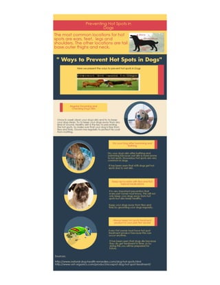 Preventing hot spots in dogs