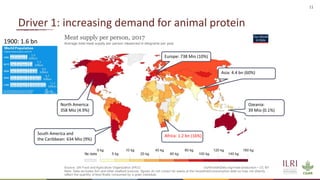Preventing the next pandemic: Zoonotic diseases and how to break the chain of transmission