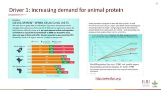 Preventing the next pandemic: Zoonotic diseases and how to break the chain of transmission