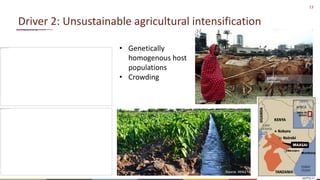 Preventing the next pandemic: Zoonotic diseases and how to break the chain of transmission